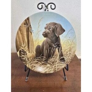 1989 Knowles Command Performance Weimaraner Puppy Collector Plate‎ by Lynn Kaatz